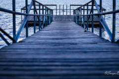 landscape-12