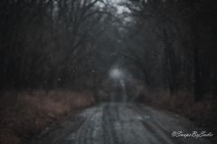 landscape-25