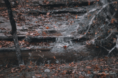 landscape-4