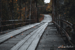 landscape-5