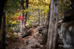 landscape-9